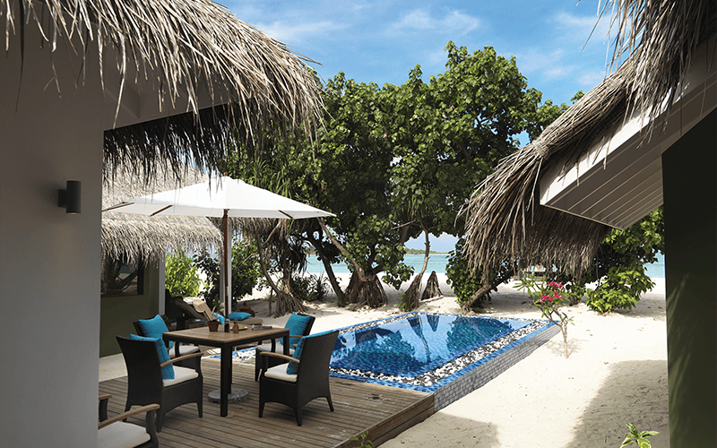 cocoon suite (2) compressed