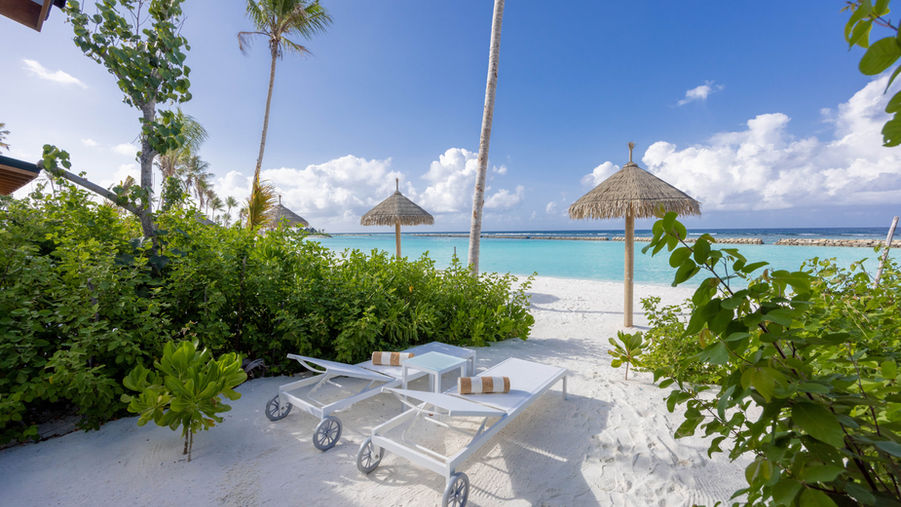 17ccf0 06cdf88db23c4c11bd8a308ff8bbad82~mv2.jpg