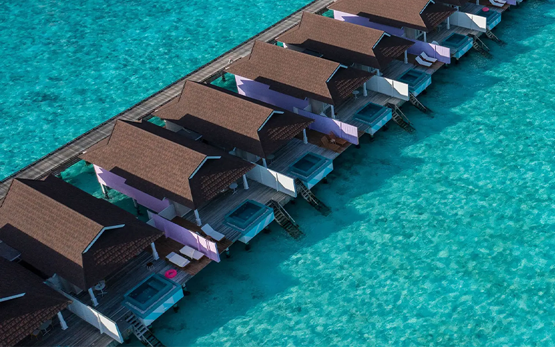 5 the standard cpcreatives50