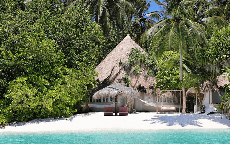 dfbv ext 01 compressed