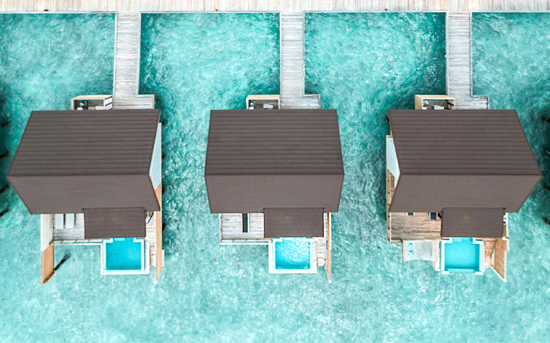 fushifaru x simply madeleine (7)