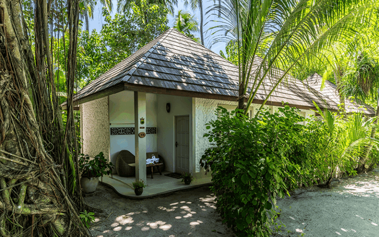 gv ext 01 compressed