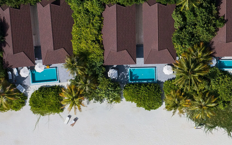 the standard cpcreatives40