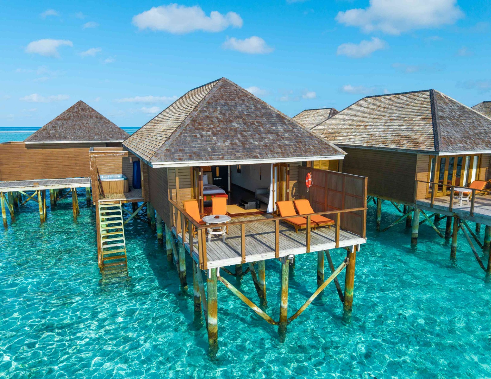 whatsapp image 2026 03 24 at 23.11.27 (1)