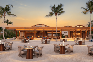 1 bluefin compressed