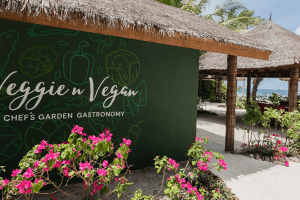 11. veggie n vegan (3) compressed