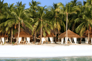 4.reethi grill (16) compressed