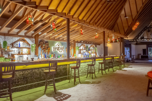 6.harugÉ main bar (1) compressed