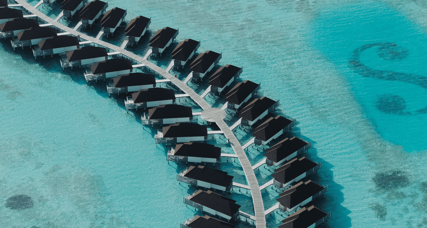 @merry amber04.24 sso5 v2