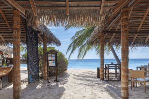 albino bar compressed