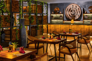 grill bar compressed