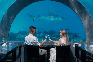 h2o restaurant v2