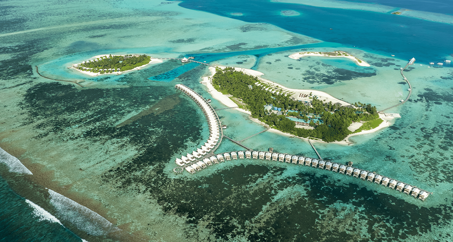 hakuraa huraa x sfts2 v2