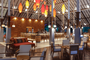 halaboli bar compressed