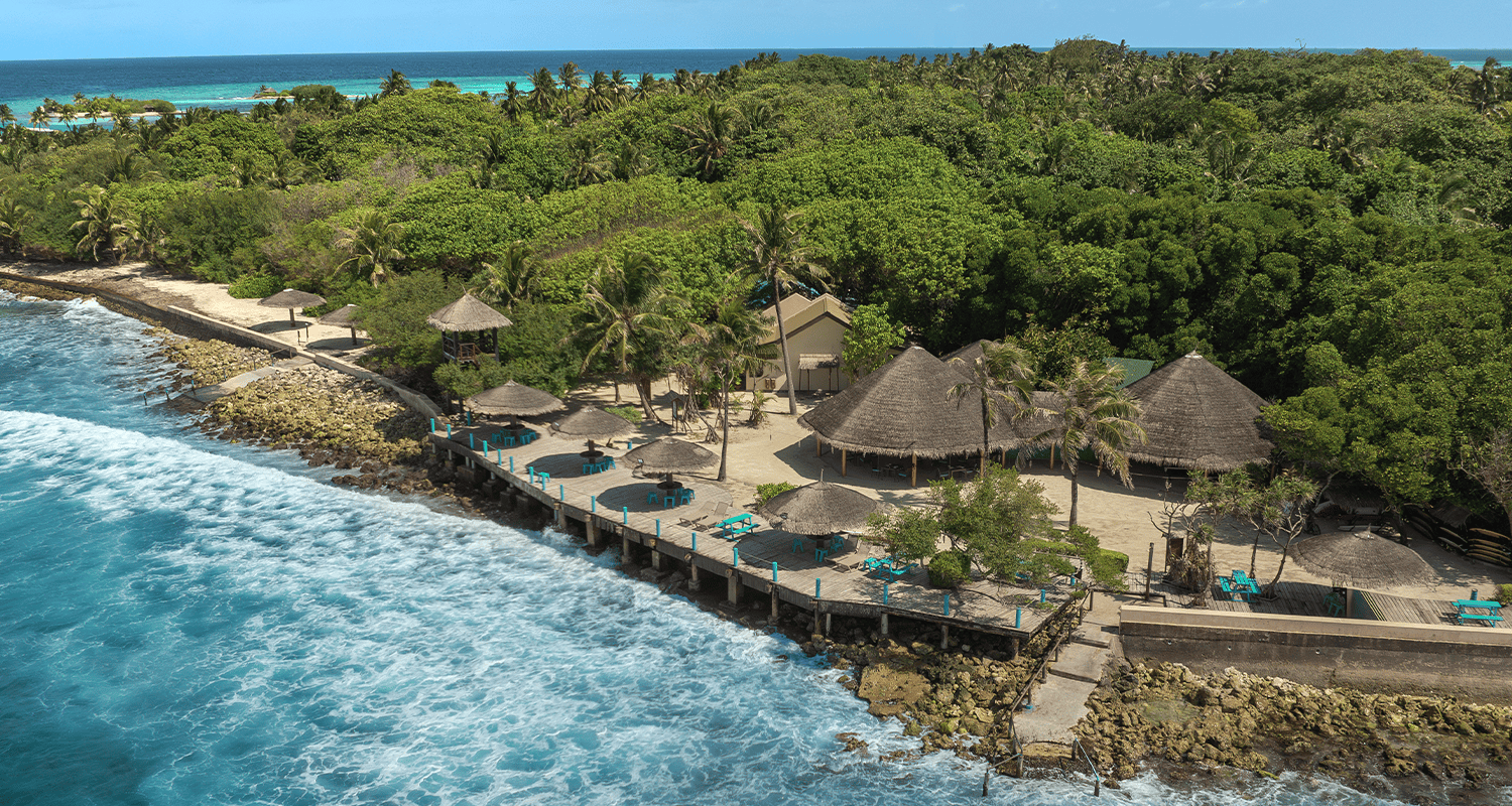 lohis surf area compressed