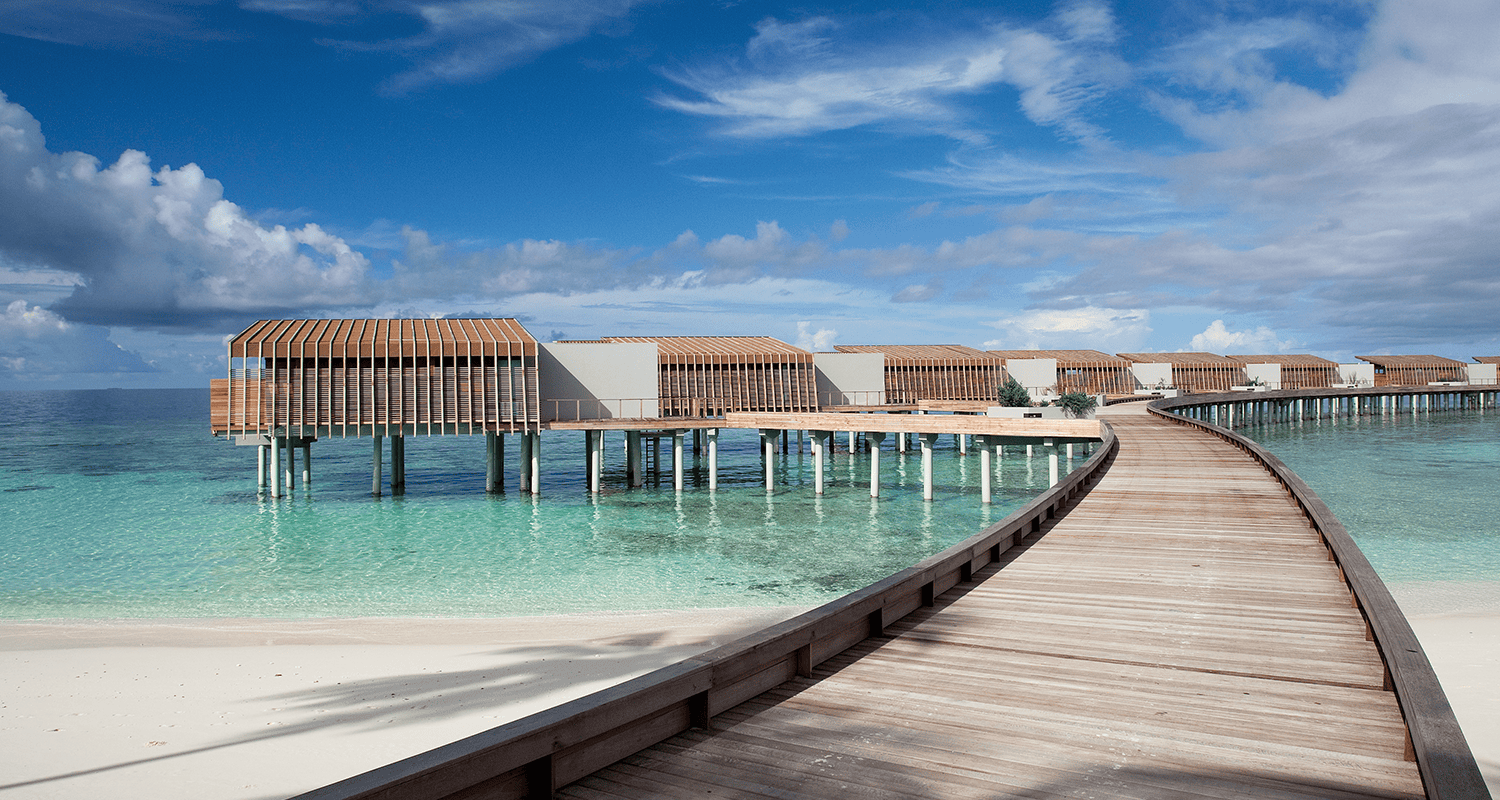 mldph p009 jetty mid res compressed