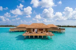 nala bubbles bar 1600x900 1030x579