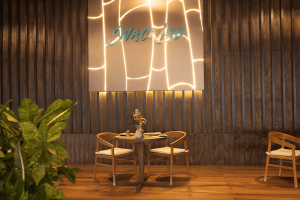 nala snack lab dining ambience compressed