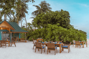 ocean spice compressed