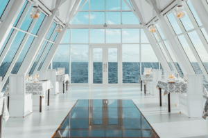 olives and vines compressed