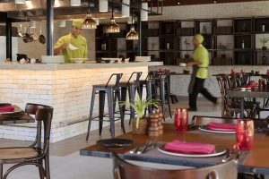 phat chameleon (2) compressed