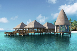 raa – wine cellar 1