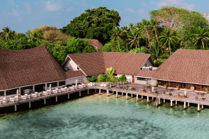 sea breeze compressed