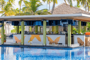 the elephant and butterfly pool bar compressed