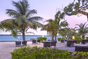 thavaa restaurant compressed