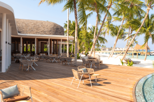 the gallery & sting bar (1) v2