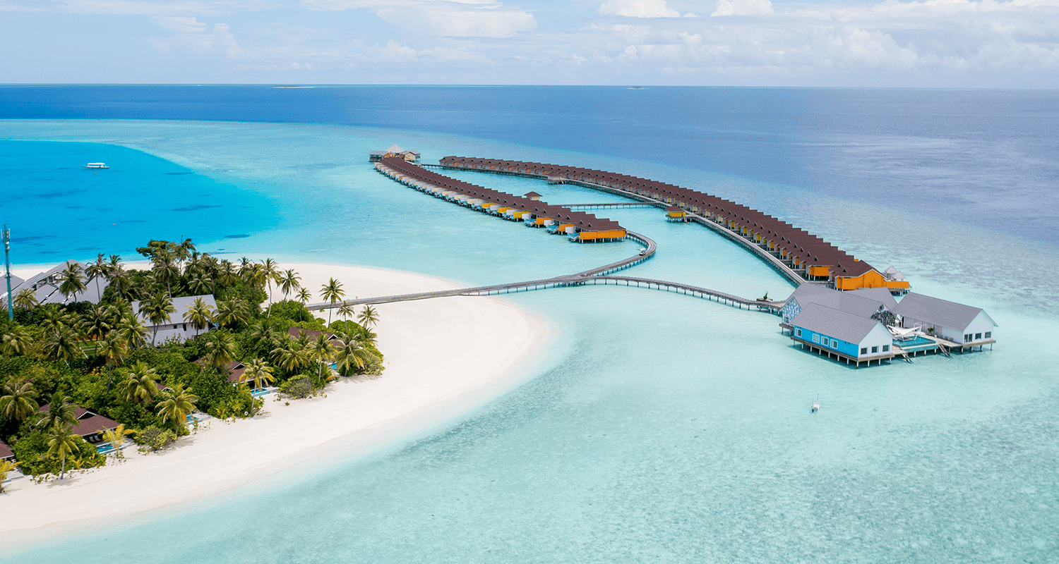 the standard aerial(15) v2