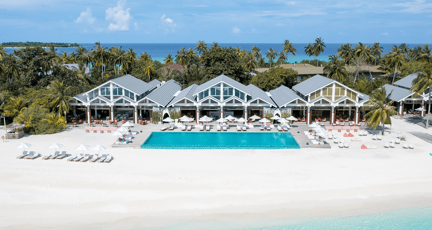 the standard aerial(17) v2