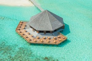 vila asian wok birds eye 1600x550