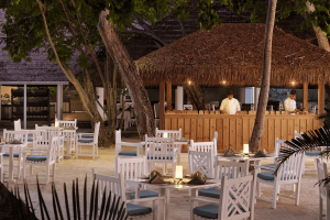 villa nautica bageecha restaurant bbq area large v2