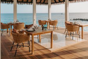 whatsapp image 2026 03 24 at 20.49.36