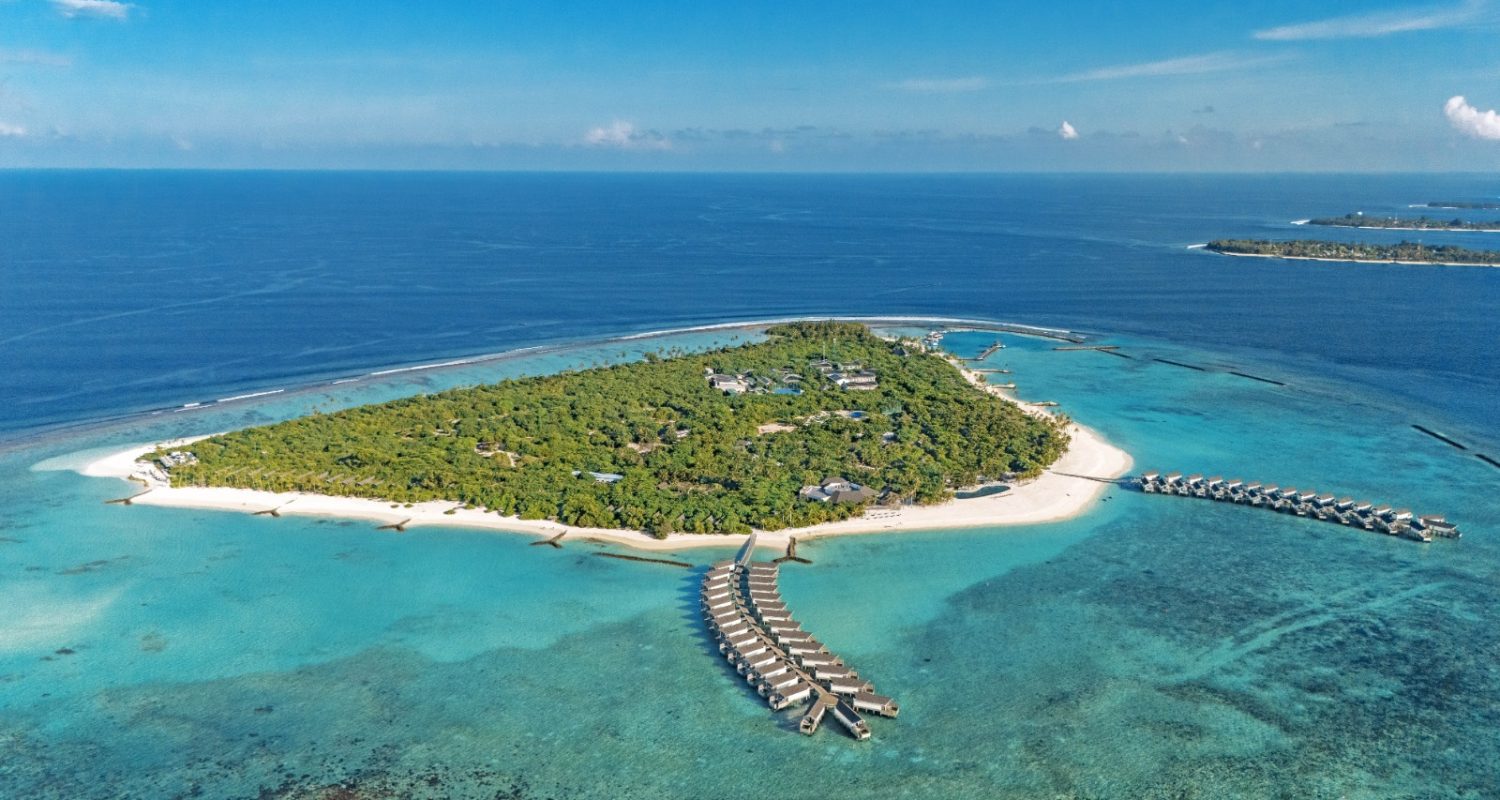 whatsapp image 2026 03 25 at 1.22.28 am (3)