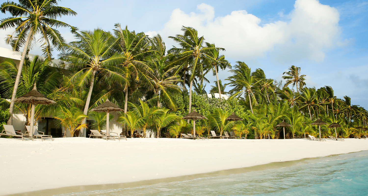 xmv 23 101 compressed