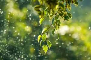 goutham krishna h5wvmcdov3w unsplash scaled